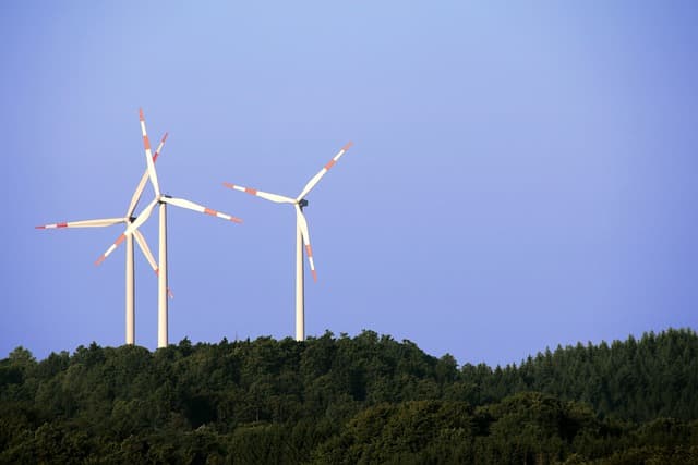 에너지와 자원 관리