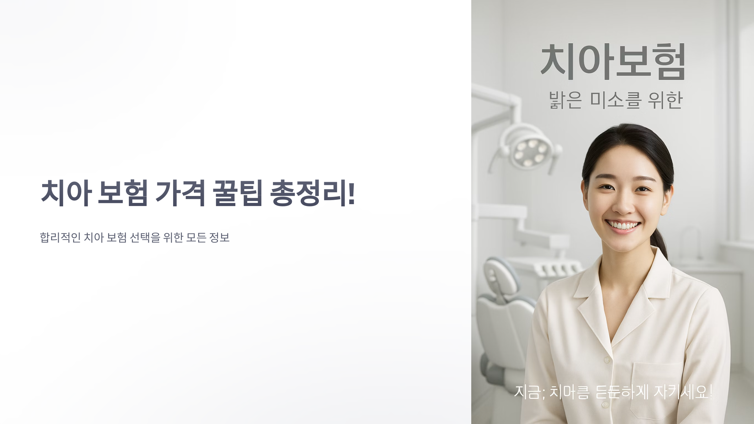 치아-보험-가격-01