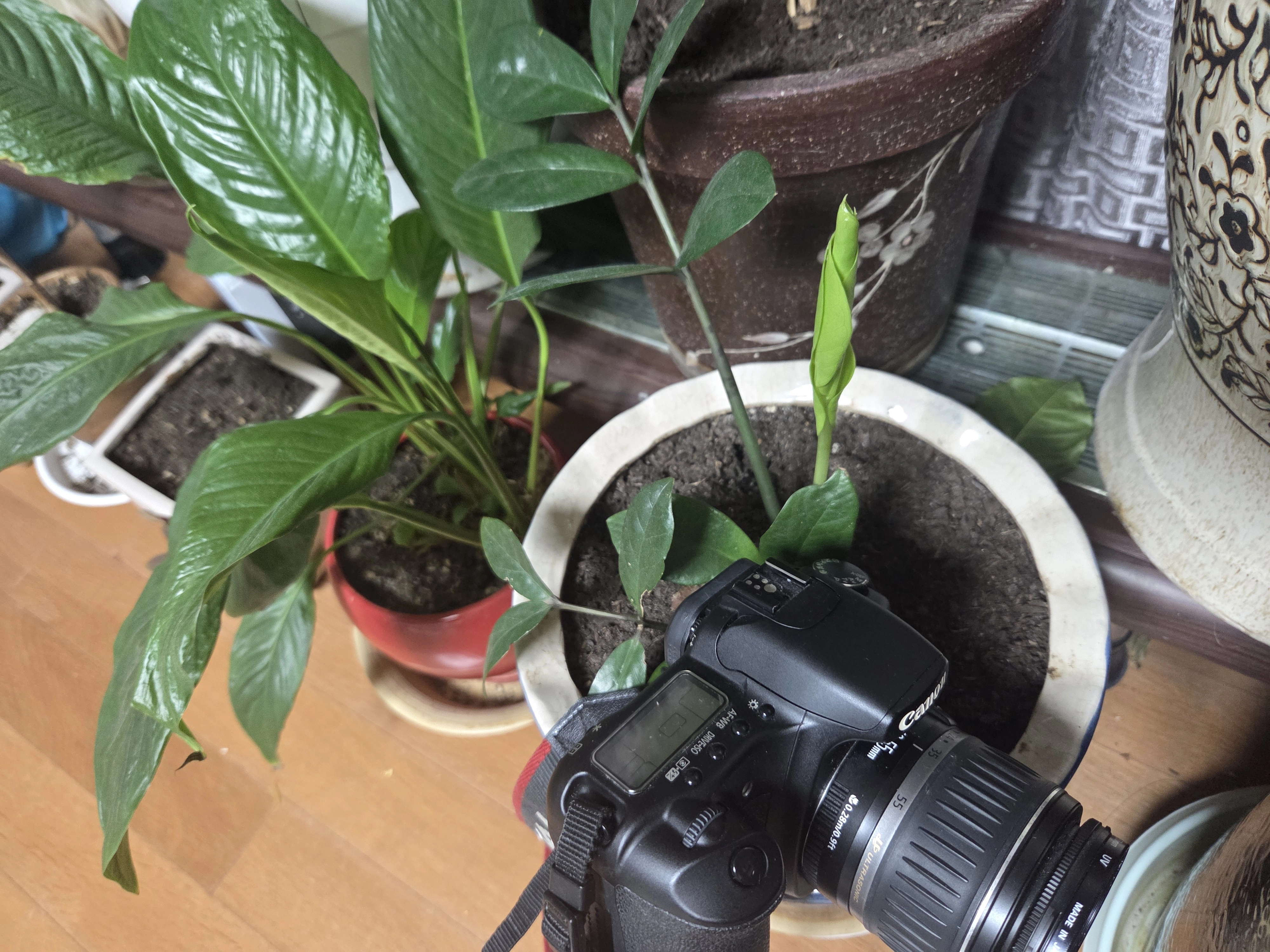 Canon EOS 30D USB Mini-B 포트의 단자 산화와 테더링 촬영 시 데이터 전송 불안정성 분석