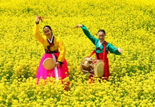 삼척 맹방 유채꽃 축제 프로그램&amp;#44; 주차장 및 교통 총정리(+주변 관광 명소)