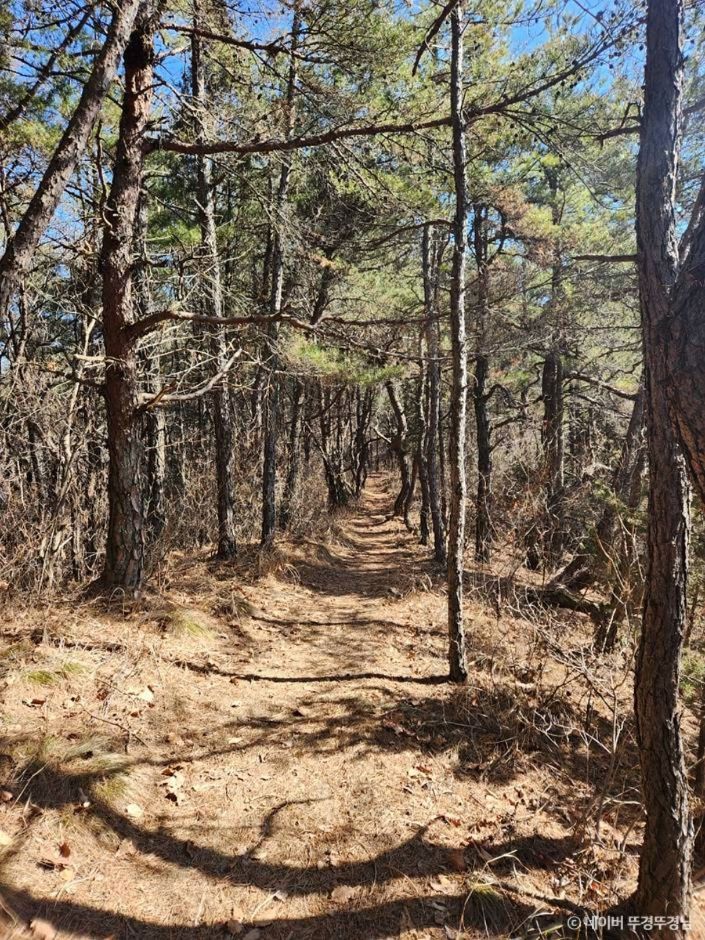 상주 가볼만한곳 베스트10