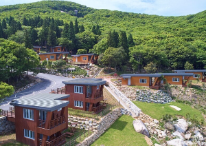 자연휴양림 BEST 5 2023년 신축