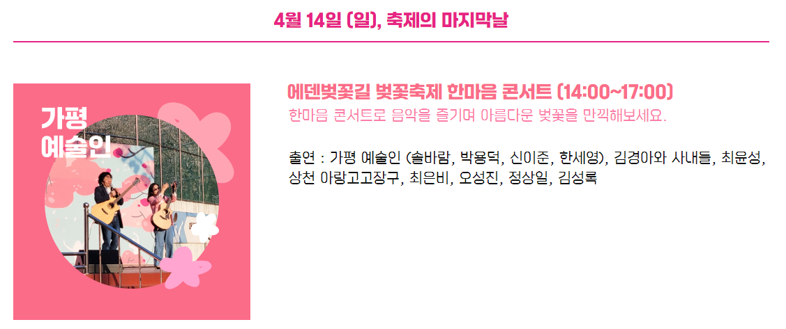 에덴벚꽃길 벚꽃 축제 실시간 개화 현황