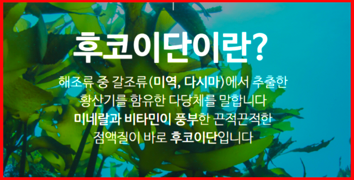 후코이단 정의 &ndash; 미역과 다시마에서 추출한 황산화 다당류