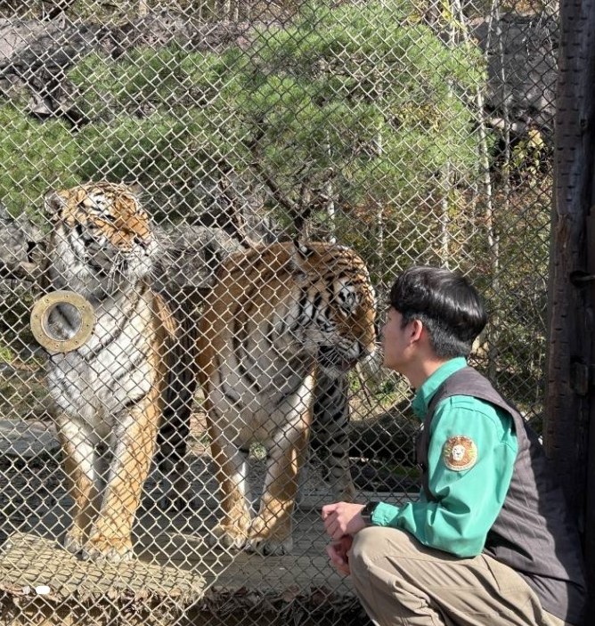 주말 아이랑 가기 좋은 곳 추천 - 애버랜드