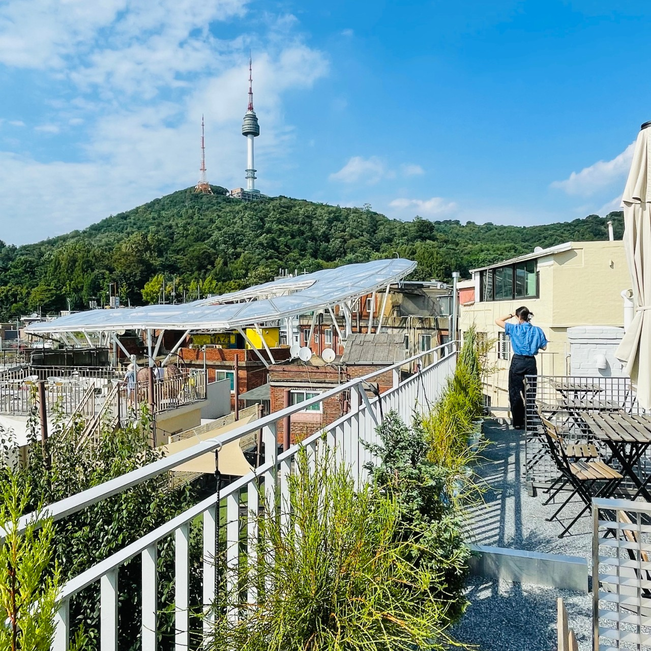 6시내고향 군산 황금박대&amp;#44; 해방촌 신흥시장 타코&amp;#44; 대구&amp;#44; 통닭