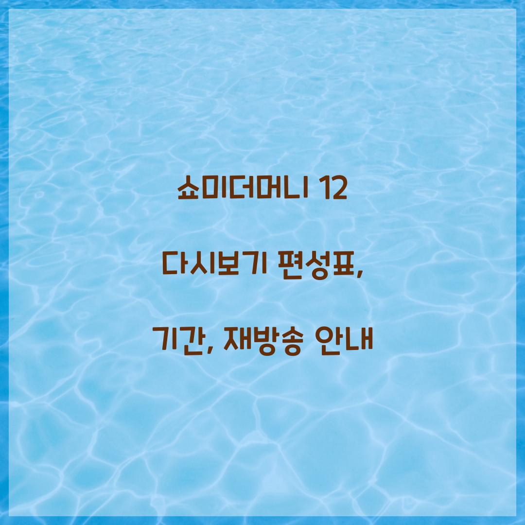 쇼미더머니 12 다시보기