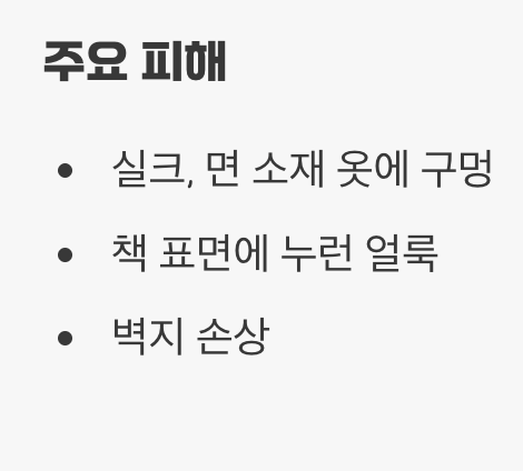 '옷'과 '책'을 갉아 먹는 피해