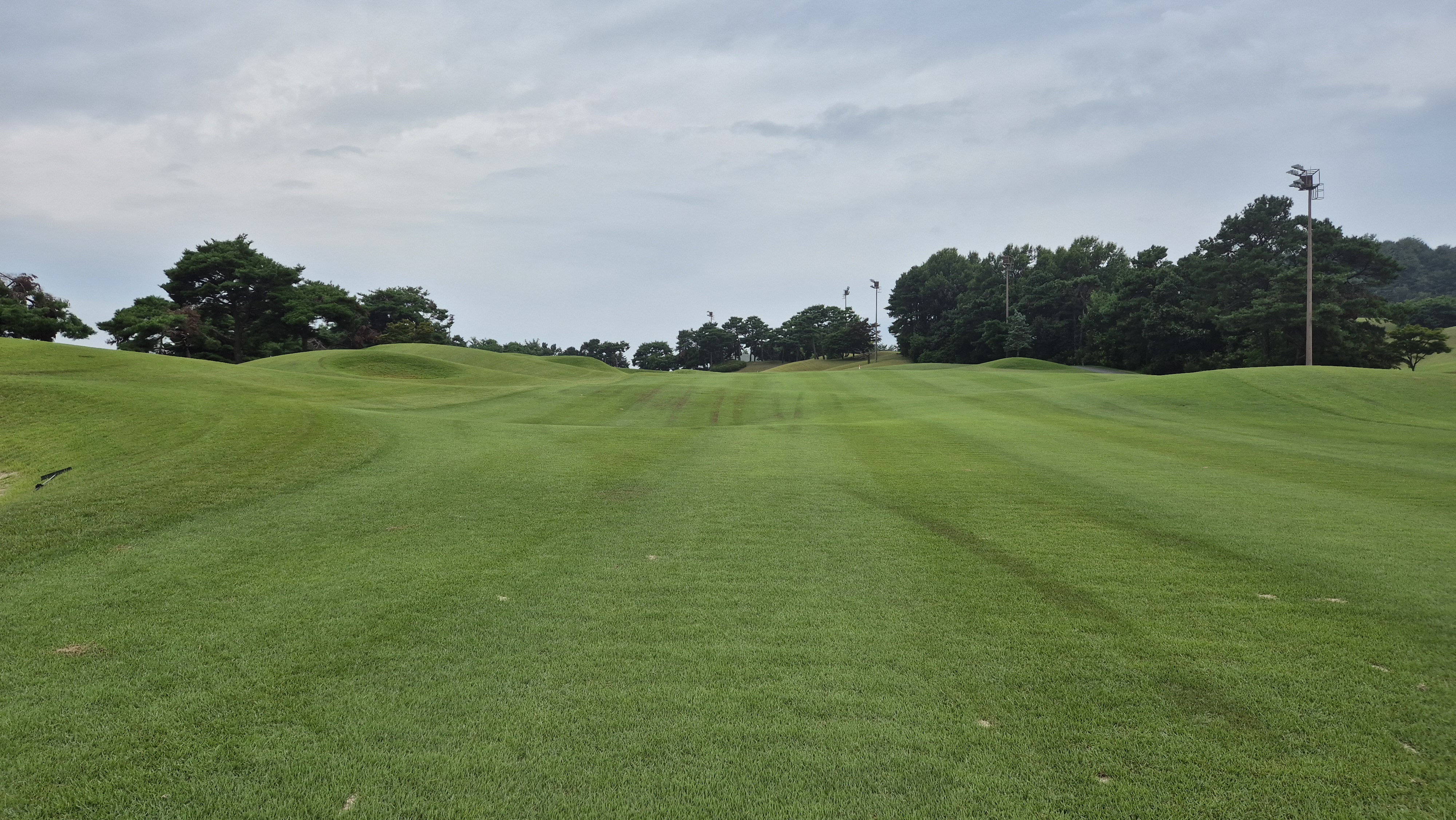 한림용인cc 다이아몬드-사파이어 코스 사진 및 공략 정보