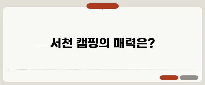 서천에서 즐기는 캠핑의 모든 것, 후기와 팁