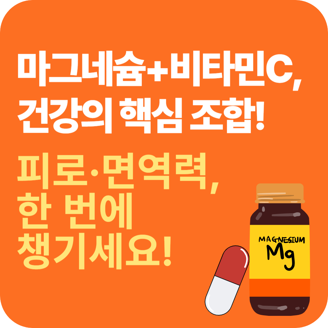 마그네슘 비타민C 건강한 핵심 조합