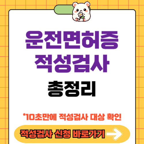 운전면허 적성검사