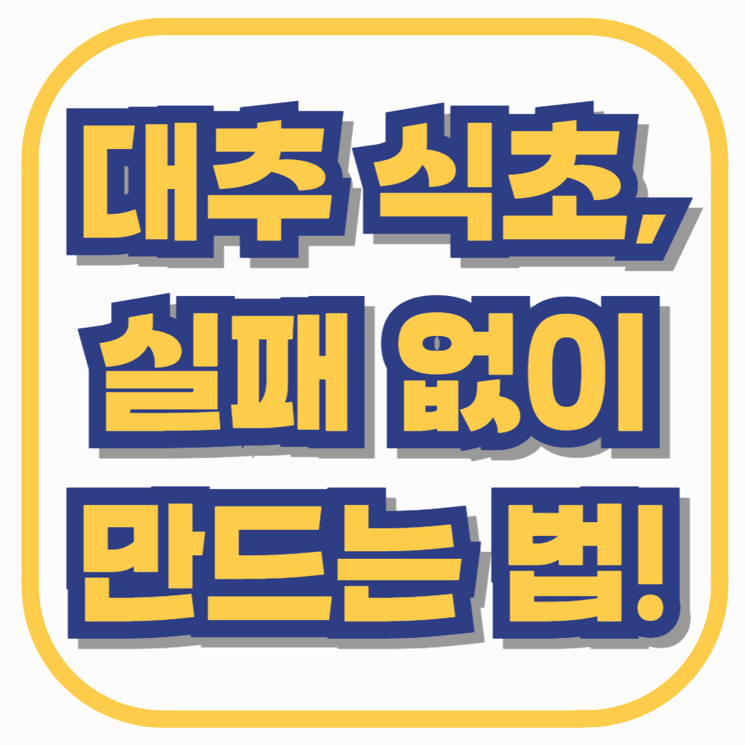 대추 식초, 실패 없이 만드는 법! 혈당, 혈관에 좋은 황금 비율