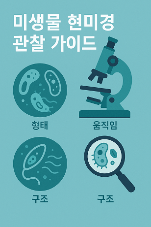 미생물 현미경 관찰 가이드 관련 사진