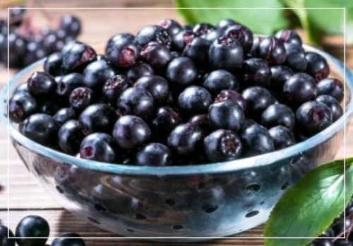 아사이베리의 대표 성분