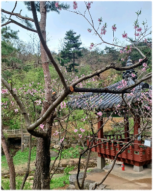 수성동계곡