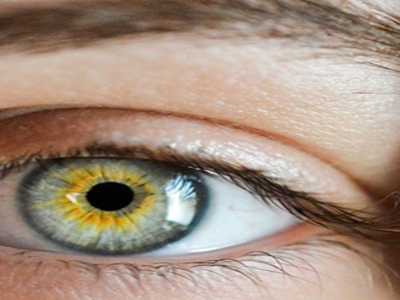 루테인 관련 사진14