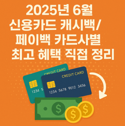 2025년 6월 신용카드 캐시백/페이백 카드사별 최고 혜택 직접 정리