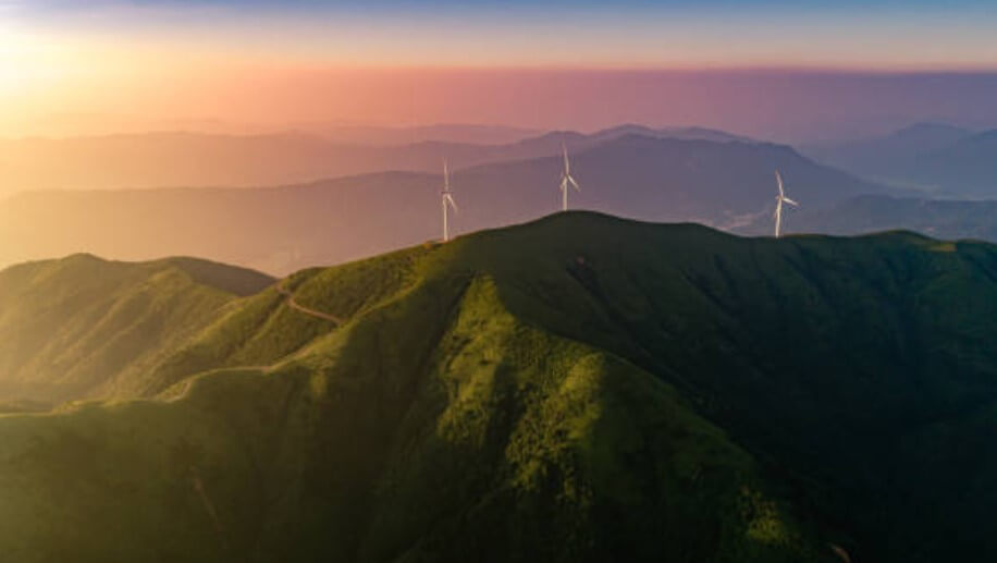 산속숲으로들어가는꿈