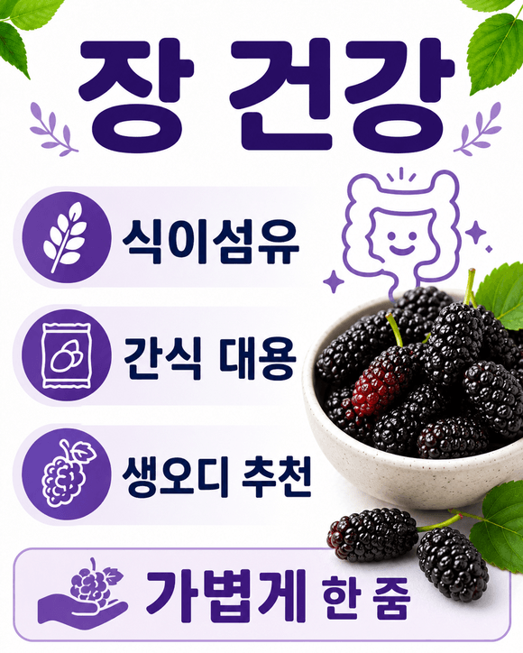 오디 효능