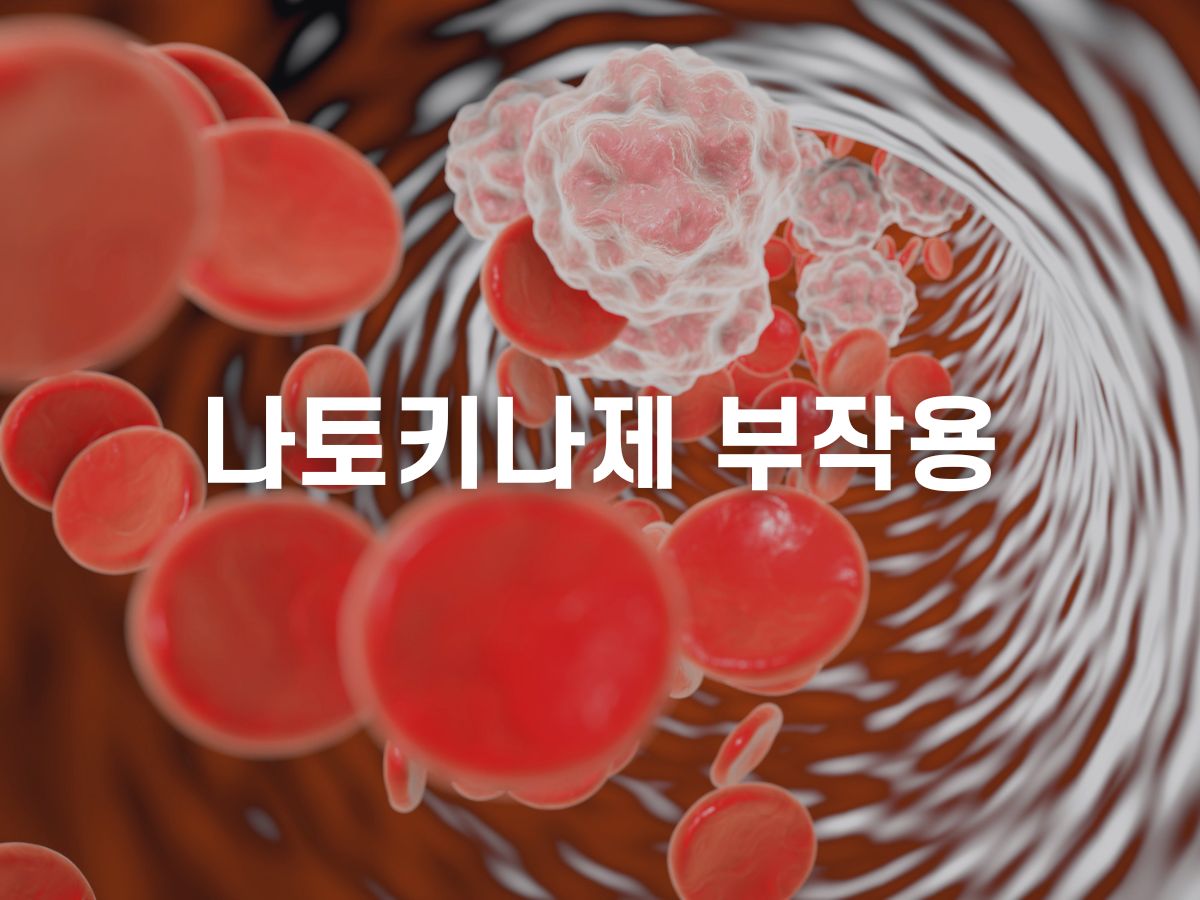 나토키나제 부작용