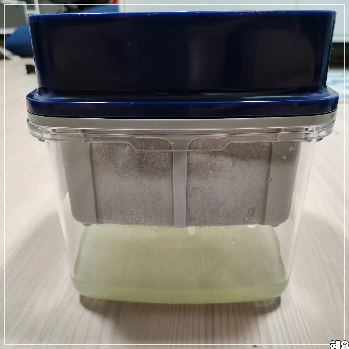 1차-유청-분리-진행중