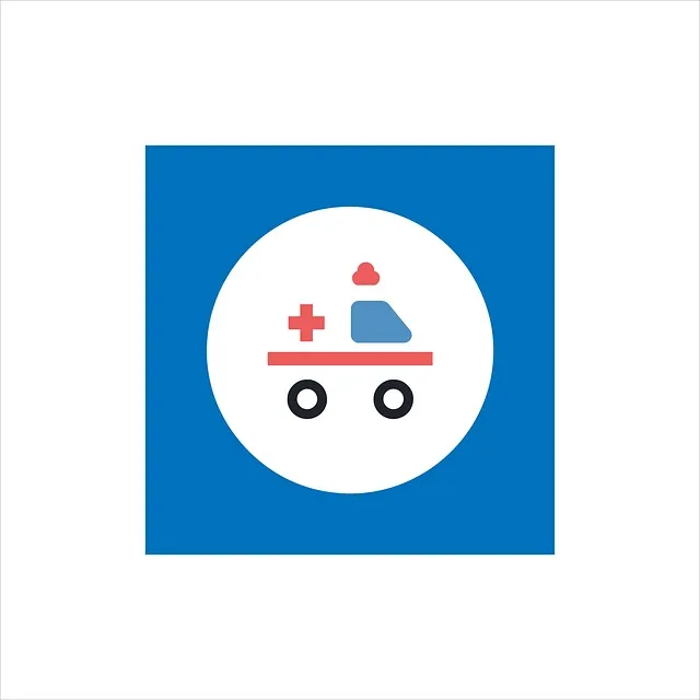 유사암도 치료비가 중요합니다｜종류와 치료 패턴&amp;#44; 보험 보장까지 총정리