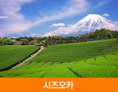 일본 소도시 여행이 특별한 이유 2