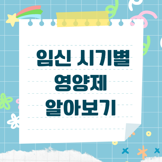 임신 시기별 영양제