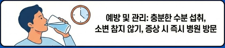 옆구리 통증과 열이 난다면, 신우신염 및 요로결석
