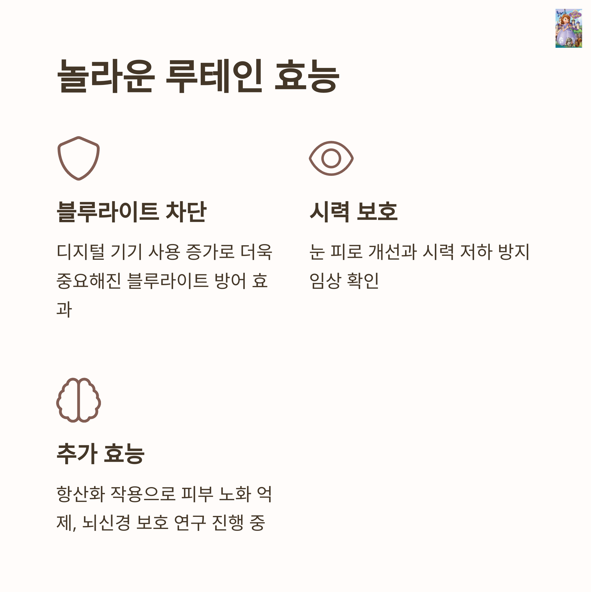 루테인 구매 전 필수 체크포인트3