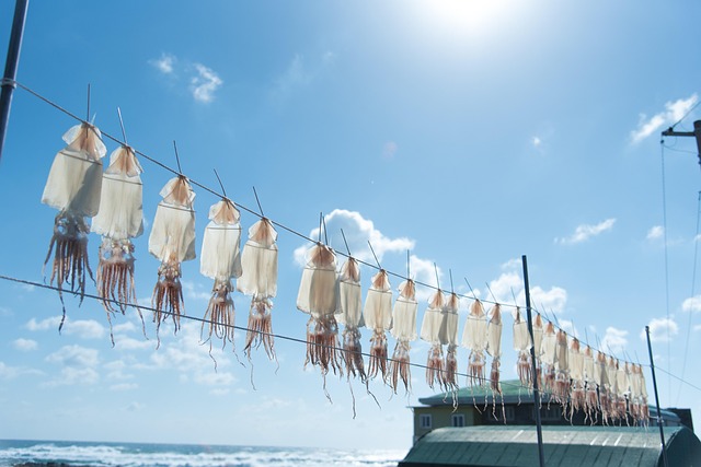 해루질 장비 구매 가이드, 기본 구성, 장비 선택법, 실전 구매 팁 5분만에 총정리