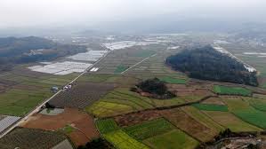 농지연금 가입조건