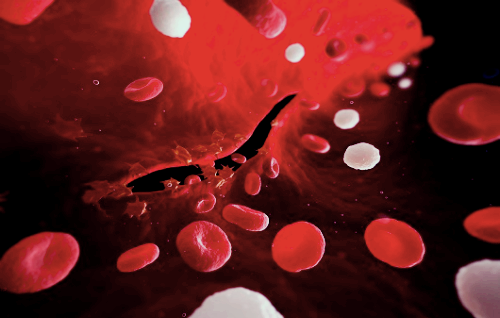 프로폴리스 효능