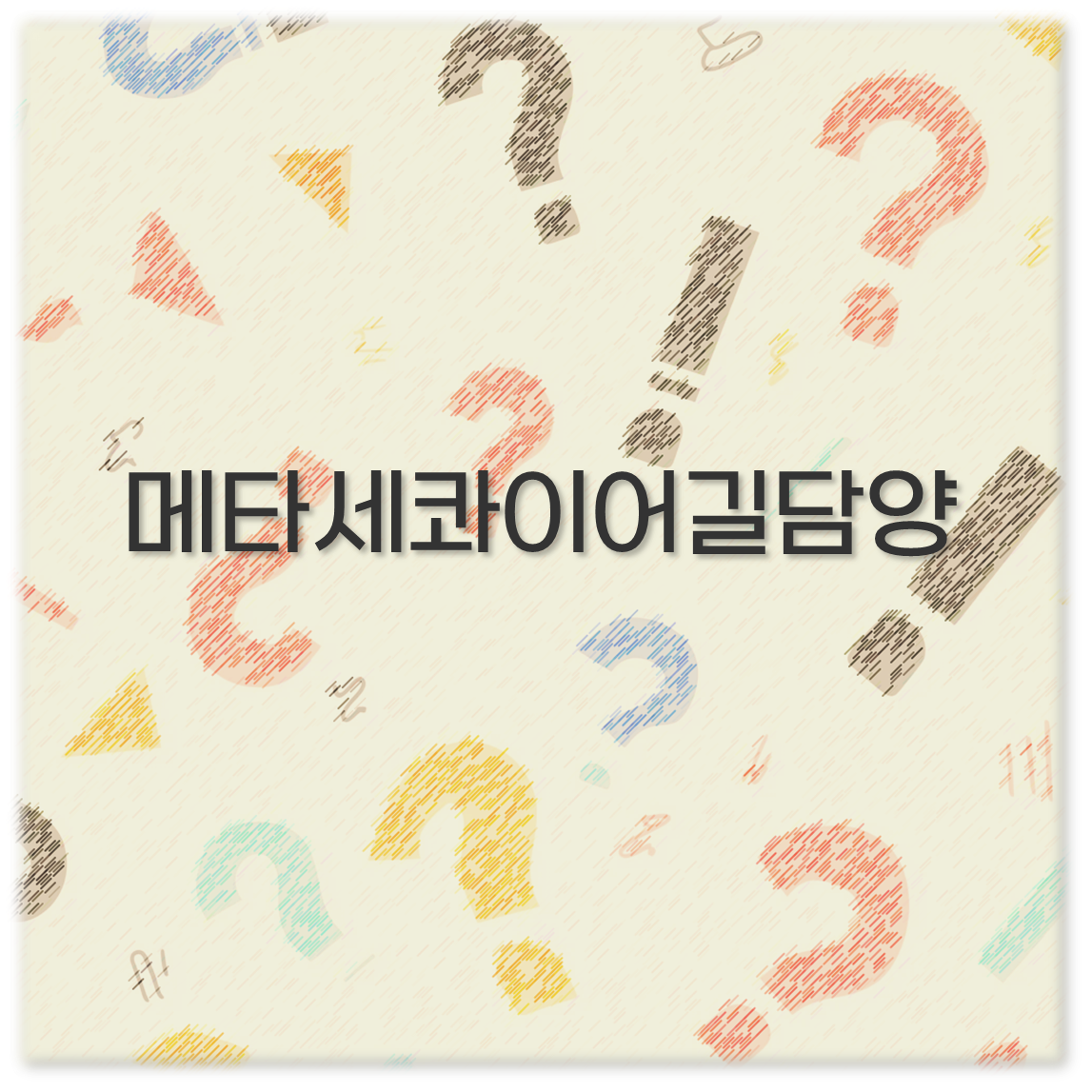 메타세콰이어길담양