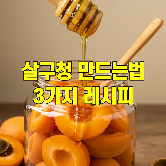 살구청 만드는 법 3가지 레시피