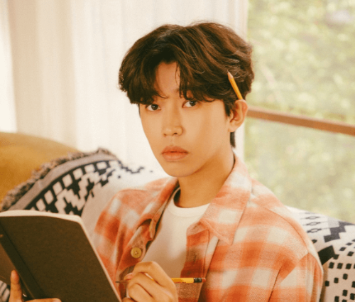 임영웅