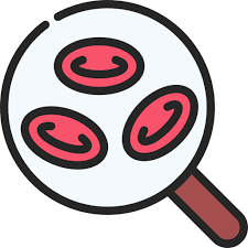 백혈구 정상수치