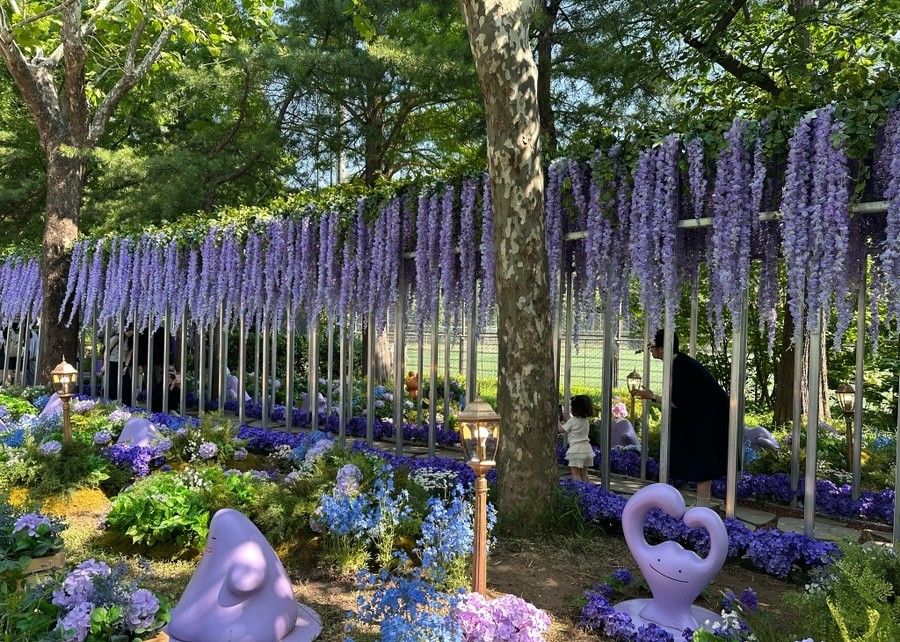 메타몽 프로젝트 : 메타몽 가든