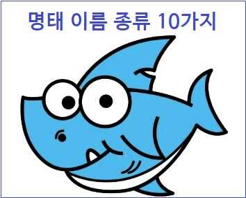 명태 이름 종류 10가지