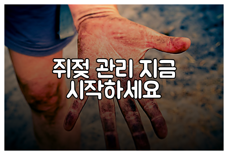 쥐젖 관리 지금 시작하세요