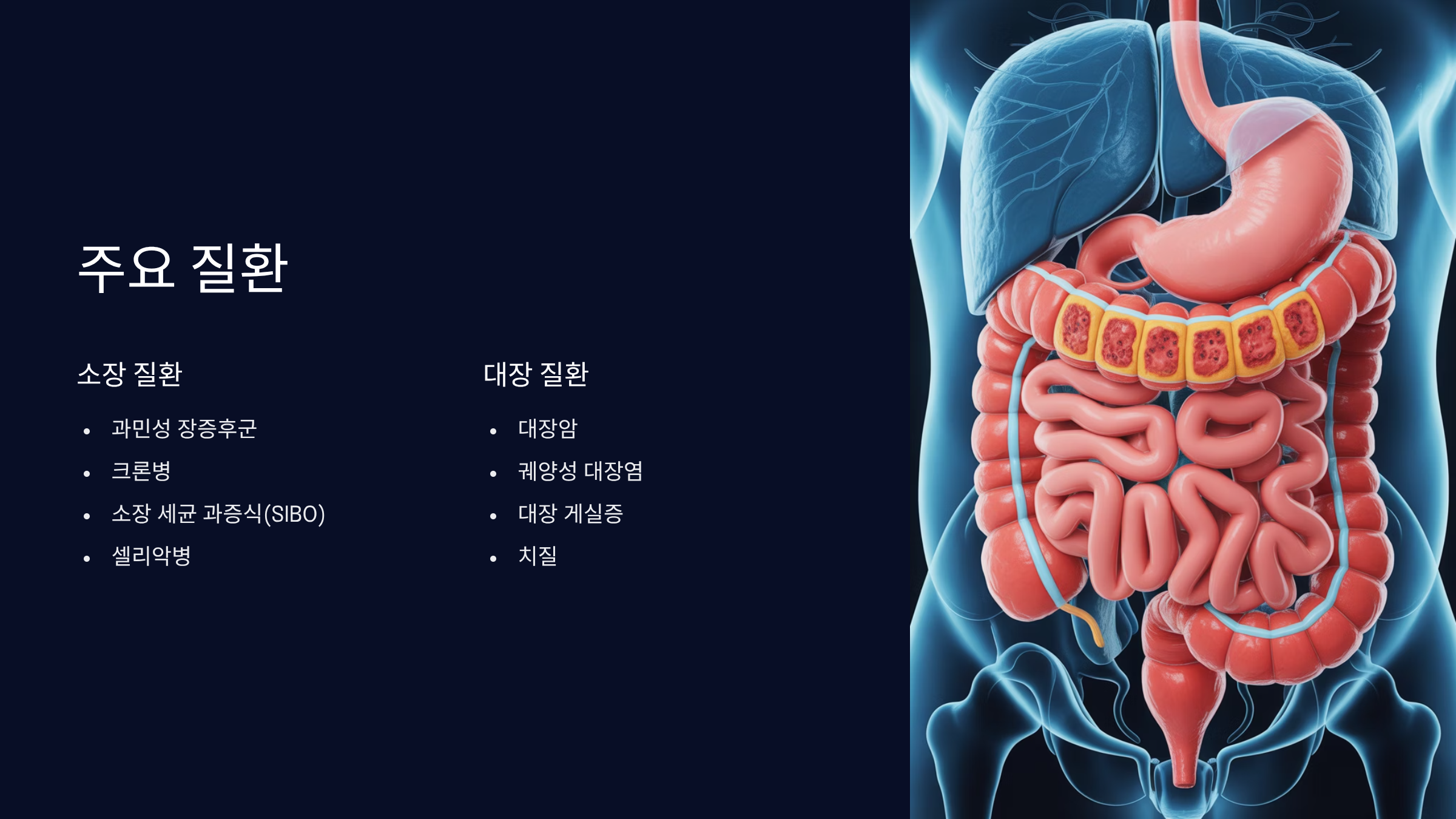 관련 질환과 증상