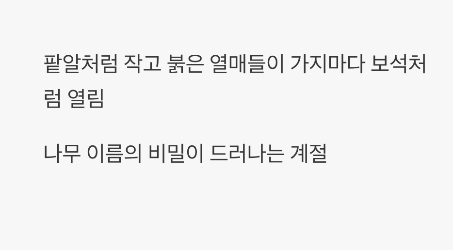 가을, 붉은 보석이 열리는 계절