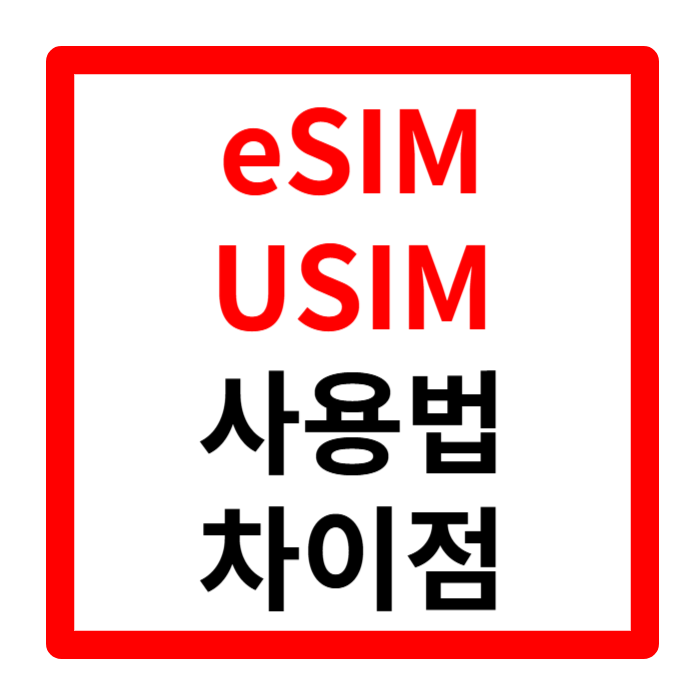 이심 사용법 일본 베트남 데이터로밍 유심 차이점
