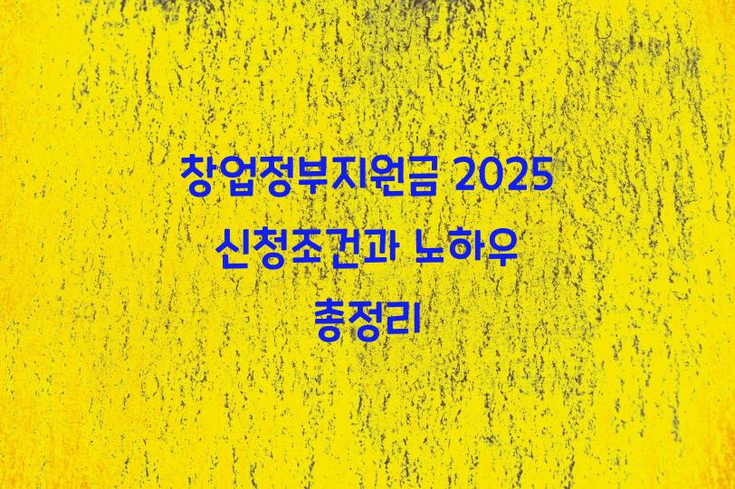 창업정부지원금