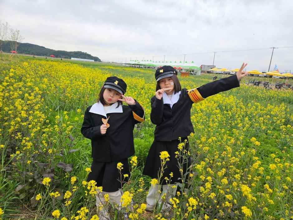 진봉새만금보리밭축제 2026 일정