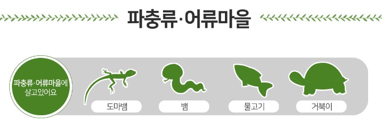 파충류 및 어류 마을 안내