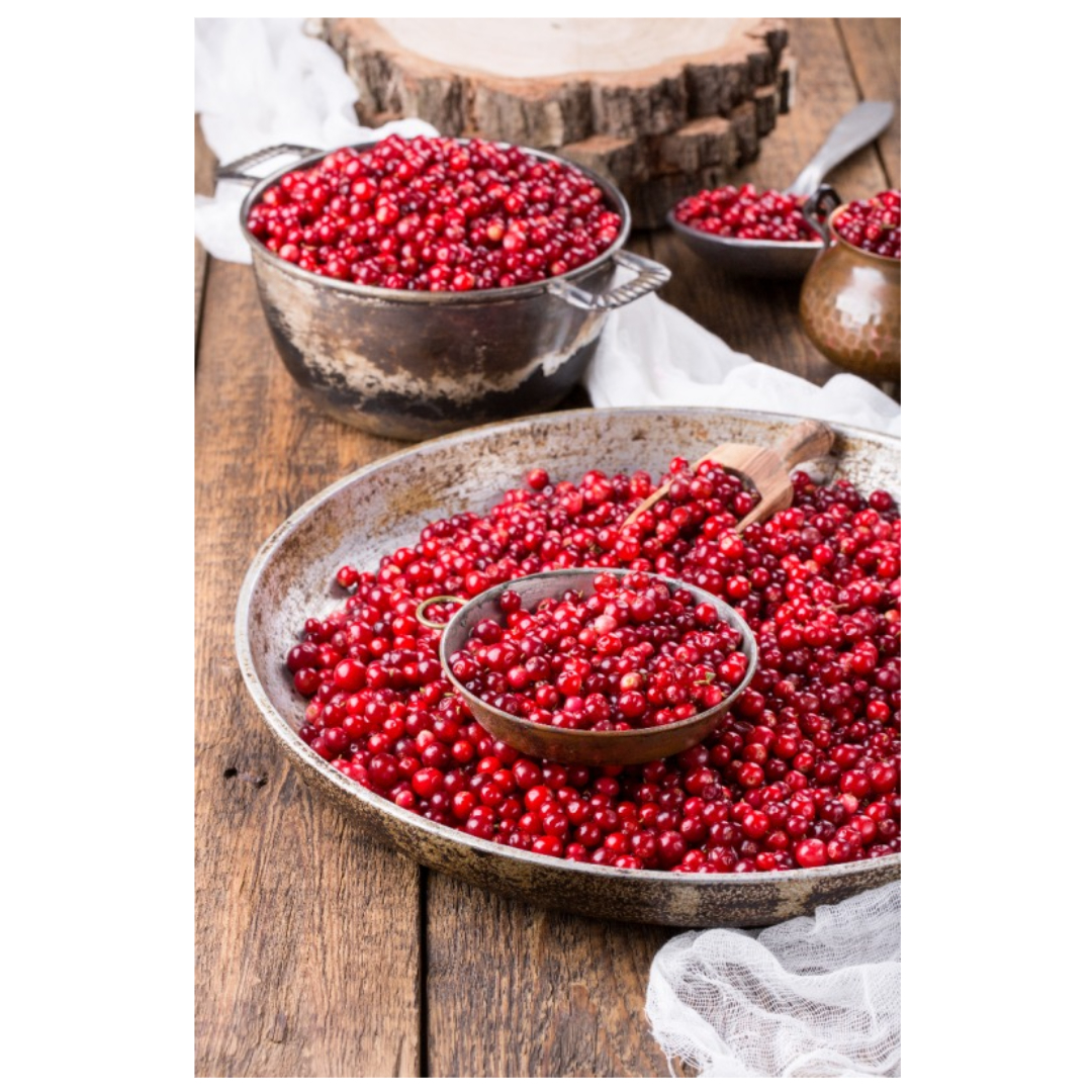 오미자와 관련된 사진입니다.