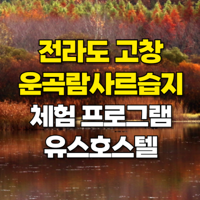 고창 운곡람사르습지 산책 체험 언니네 산지직송 카드뉴스
