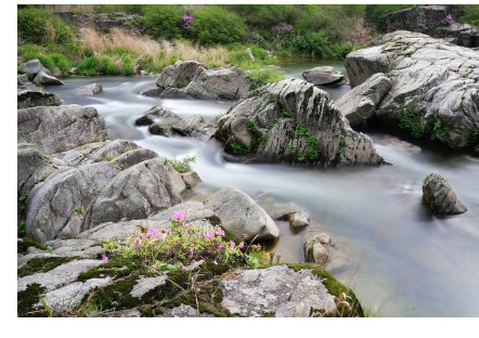 국립수목원 예약방법